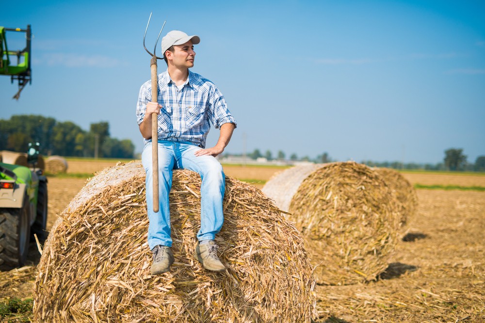Прибыльные агробизнесы: 7 идей бизнеса в сельском хозяйстве